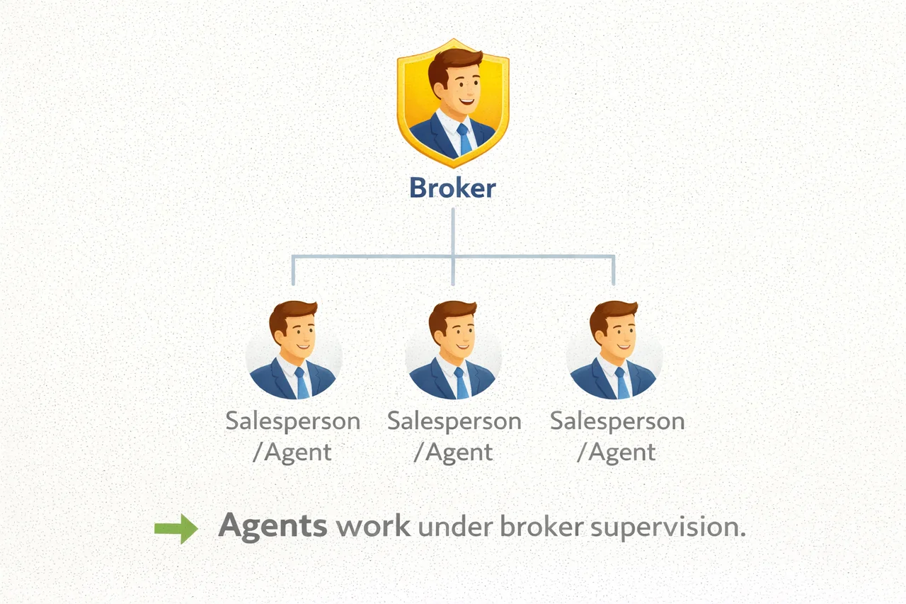 Agents work under broker supervision